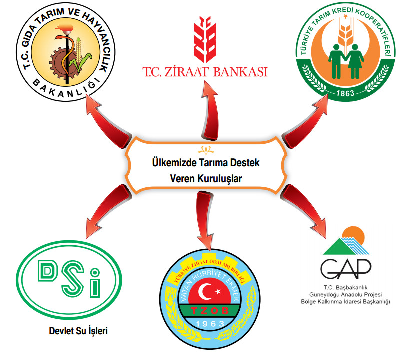 üllkemizde tarıma destek veren kuruluşlar
