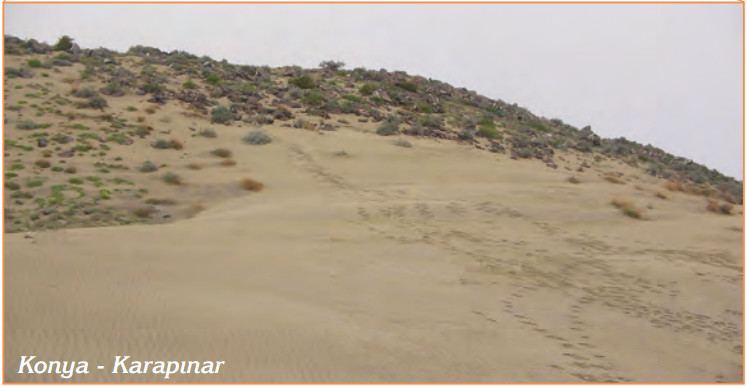 rüzgarların yer şekilleri üzerinde etkisi karapınar