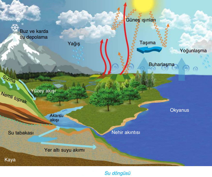 su döngüsü