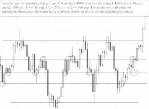 EURUSDkasm2007ubat2008Fibonaccigrafii.jpg