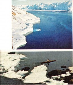 Grönland ve fok avına çıkan eskimolu
