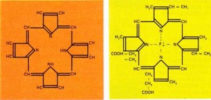 Tetrapirolun porfirinik çekirdeği