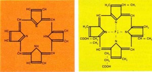 Tetrapirolun porfirinik çekirdeği