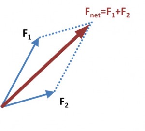 net kuvvet bileşke kuvvet