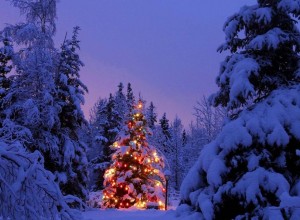 Yılbaşı Nedir? Noel Baba Kimdir? Neden Çam Ağacı Süslenir?