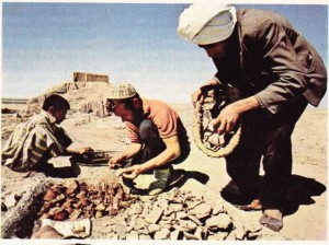 Arkeoloji de insan bilimlerinin bir dalıdır. Resimde Irak'ta yapılan bir kazı çalışması görülüyor.