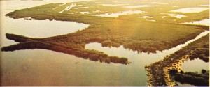 Po ırmağının deltası