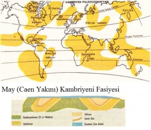 kambriyen paleocografyası