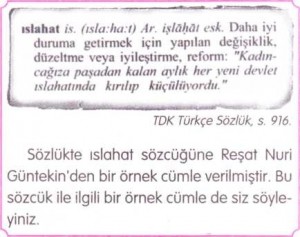 ıslahat nedir