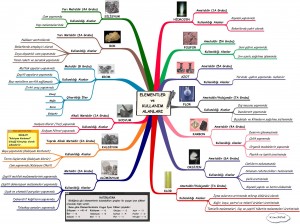 Elementlerin kullanım alanları