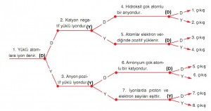 21. etkinlik resim