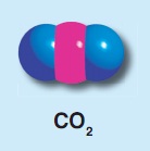 CO2 bileşik modeli