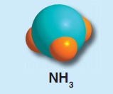NH3 bileşik modeli