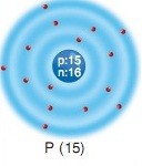 fosfor atom modeli