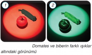 domates ve biberin farklı görünümü