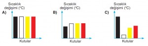 sıcaklık renk değişimi