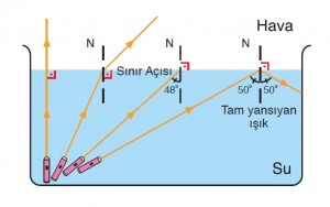 sınır açısı