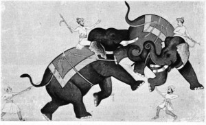 XVIII. yy'dan kalma, fili konu alan, kâğıt üstüne bir Hint minyatürü.