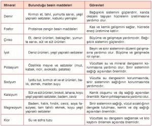 hangi mineral hangi besinde tablosu