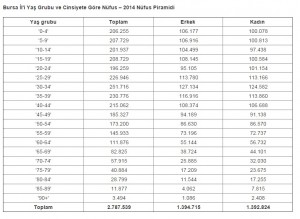 2014 yılı bursa nüfus piramidi