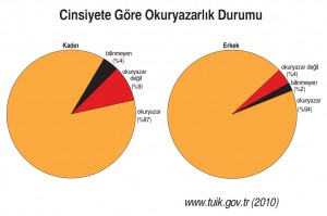 cinsiyete göre okuryazarlık durumu