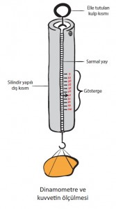 dinamometre ve kuvvetin ölçülmesi
