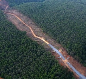 yol yapmak için doğal ortama verilen zarar