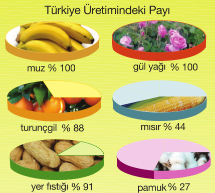 akdeniz tarım ürünlerin ülke ekonomisine katkıları