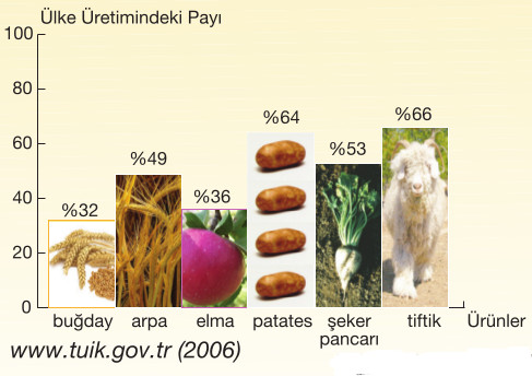 iç anadolu tarım ürünlerin ülke ekonomisine katkıları