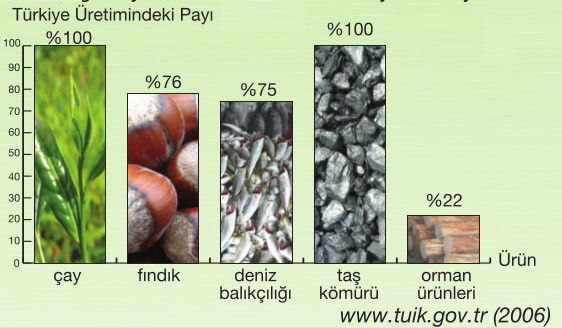 karadeniz tarım ürünlerin ülke ekonomisine katkıları