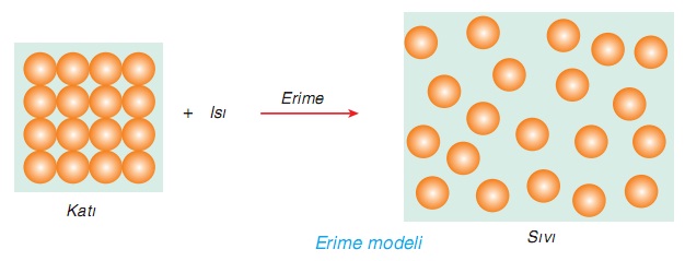 erime modeli