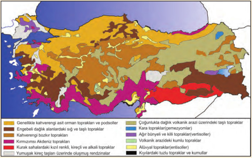 Türkiye'de toprak tipleri
