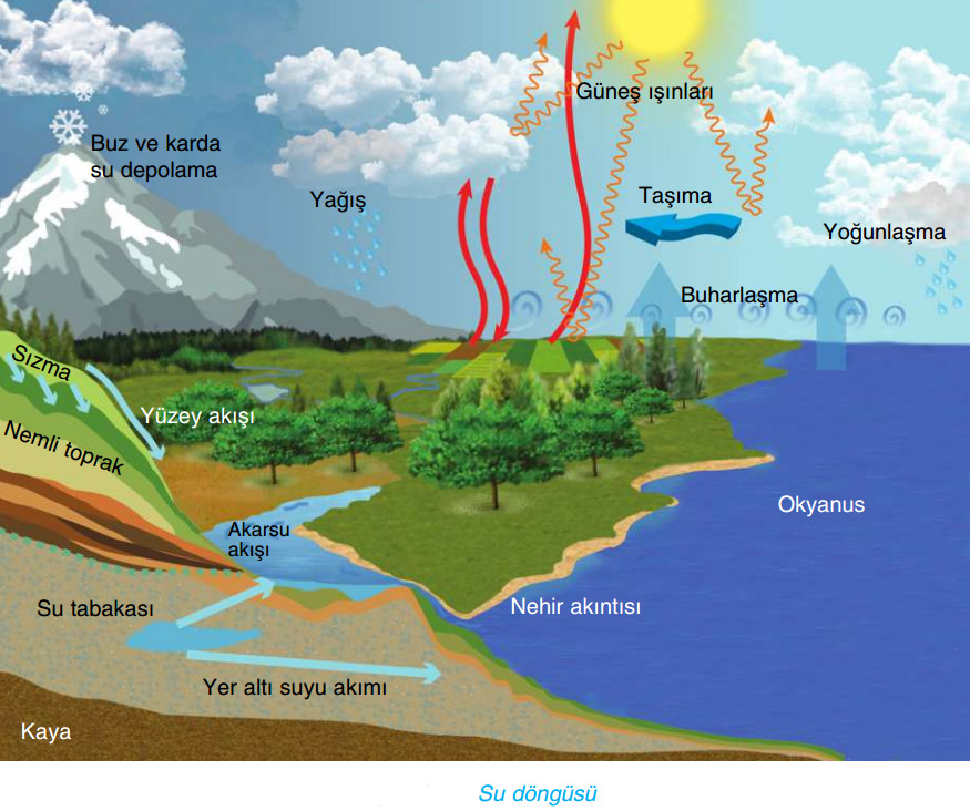 su döngüsü