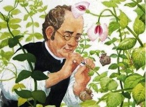 mendel