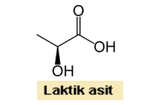 laktik-asit